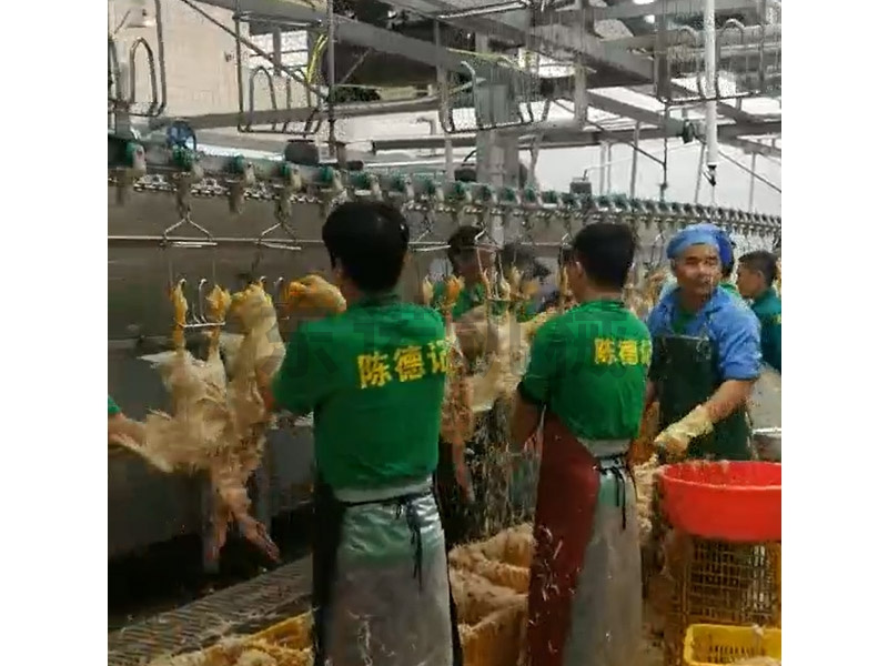 （廣式熱鮮）客戶現(xiàn)場